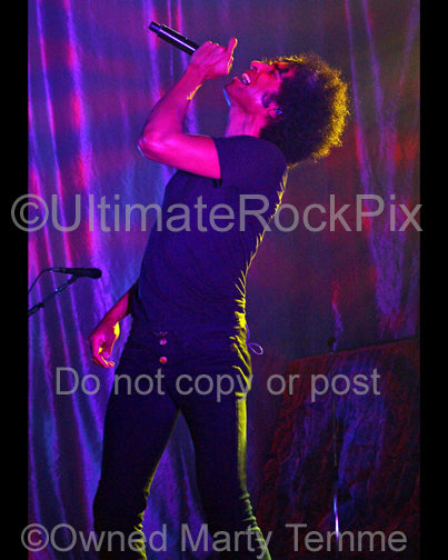 Photo of William DuVall of Alice in Chains in concert in 2010 by Marty Temme
