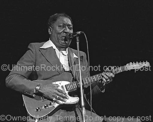 Black and White Photo of Blues Legend Muddy Waters Playing His Fender Telecaster in Concert in 1979 by Marty Temme