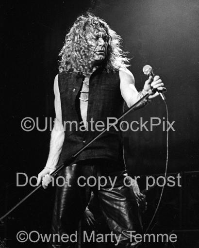 Photos of Singer Robert Plant of Page and Plant in Concert in 1995 by Marty Temme