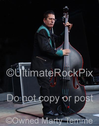 Photos of Bass Player Lee Rocker of The Stray Cats by Marty Temme