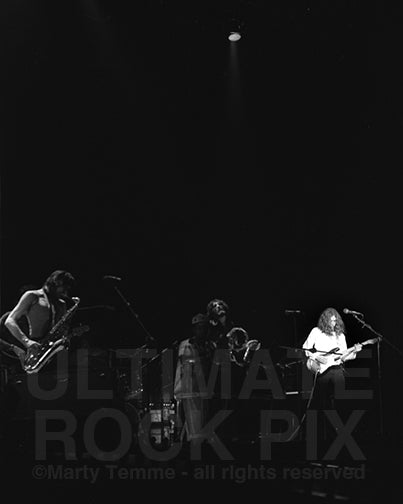 Photo of Stevie Winwood and Traffic in concert in 1973 by Marty Temme