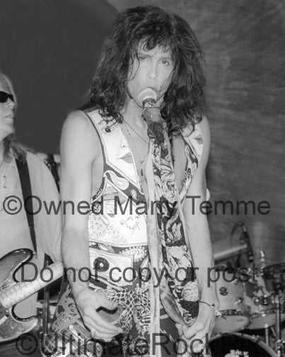 Photo of Steven Tyler of Aerosmith in concert in 1994 by Marty Temme