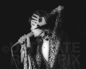  Photo of Steven Tyler of Aerosmith in concert in 1974 by Marty Temme