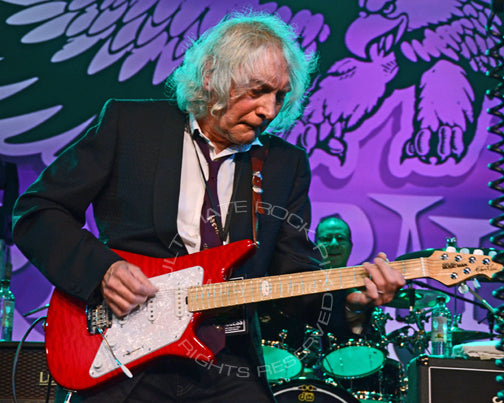 Photo of guitarist Albert Lee performing in concert by Marty Temme