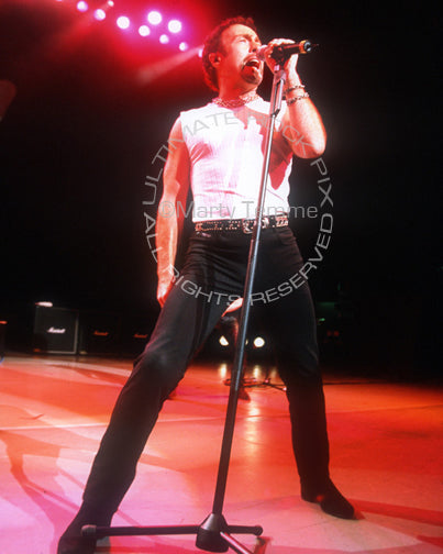 Photo of Paul Rodgers of Bad Company and Free in concert by Marty Temme