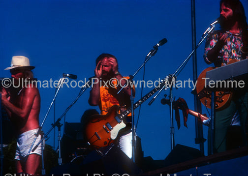 Photo of Mike Love, Al Jardine and Carl Wilson of The Beach Boys in concert in 1974 by Marty Temme