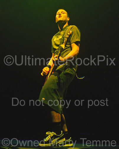 Photo of Mark Hoppus of Blink-182 in concert by Marty Temme