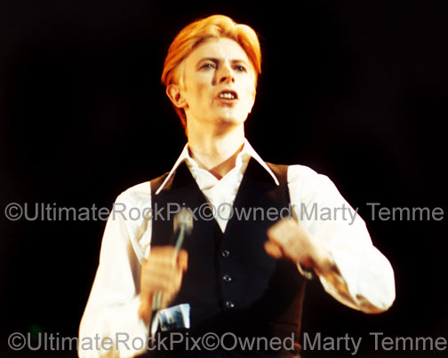 Photo of David Bowie performing in concert in 1976 by Marty Temme
