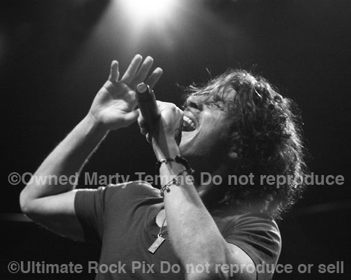 Black and white photo of Chris Cornell in concert in 2008 by Marty Temme