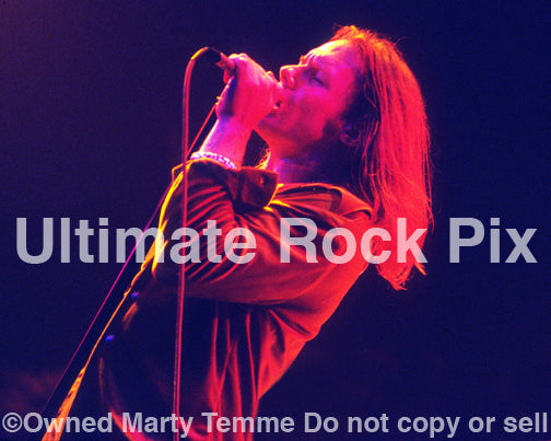 Photo of singer Robert Mason of Cry of Love in concert by Marty Temme