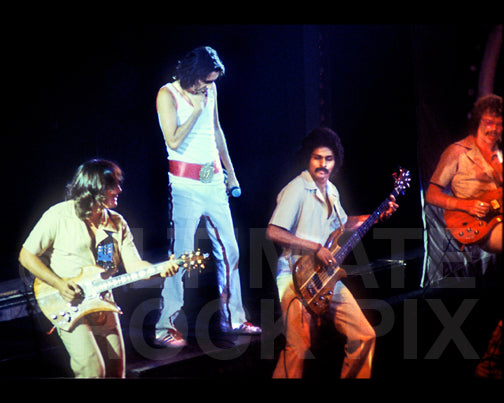 Photo of Alice Cooper, Steve Hunter, Prakash John and Dick Wagner in concert in 1975