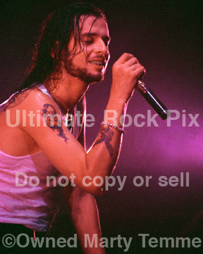 Photo of David Gahan of Depeche Mode in concert by Marty Temme