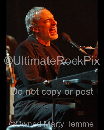 Photo of Donald Fagen of Steely Dan singing in concert by Marty Temme