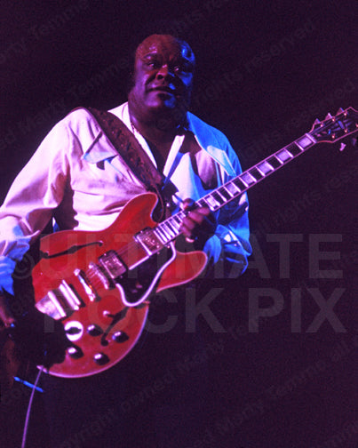 Photo of blues guitarist Freddie King in concert in 1973 by Marty Temme