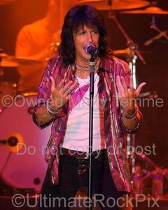 Photo of singer Kelly Hansen of Foreigner performing in Concert in 2005 by Marty Temme