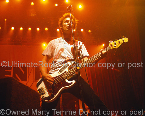 Photo of bassist Mike Dirnt of Green Day performing in concert by Marty Temme