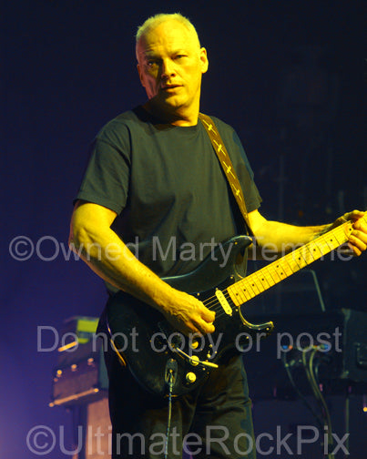 Art Print of David Gilmour of Pink Floyd playing his black Stratocaster in concert by Marty Temme