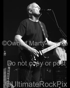 Black and white photo of guitar player David Gilmour of Pink Floyd in concert by Marty Temme