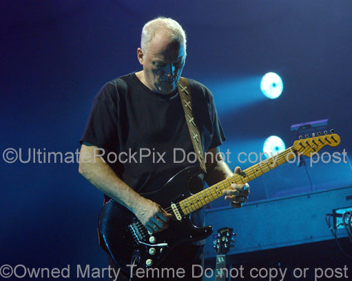 Photo of David Gilmour playing his black Stratocaster in concert by Marty Temme