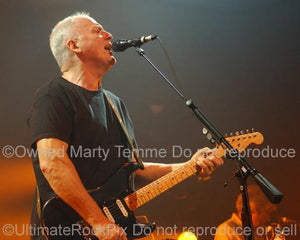 Photos of Guitar Player David Gilmour of Pink Floyd Playing his Fender Stratocaster in Concert by Marty Temme