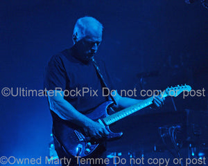 Photo of guitarist David Gilmour playing his black Stratocaster in concert by Marty Temme