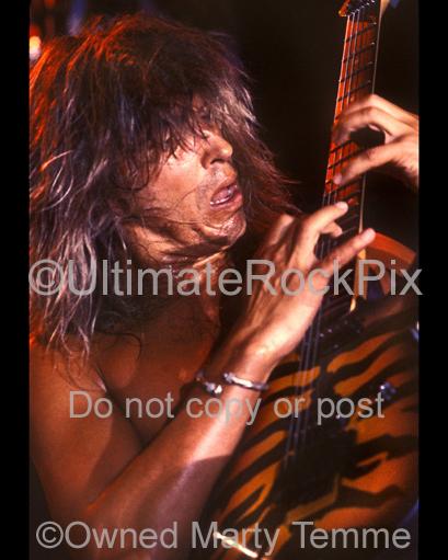 Photo of guitarist George Lynch of Lynch Mob in concert in 1991 by Marty Temme