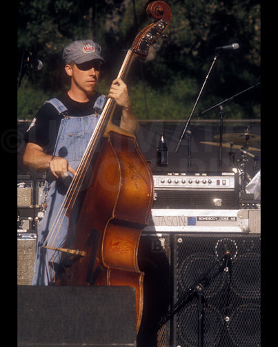 Photo of bassist Jason Brown of Hank Williams III in concert by Marty Temme