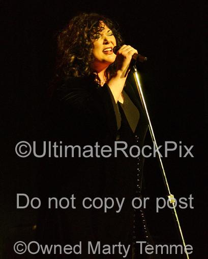 Photos of Singer Ann Wilson of Heart in Concert by Photographer Marty Temme