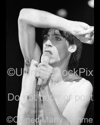 Photo of singer Iggy Pop in concert in 1977 by Marty Temme