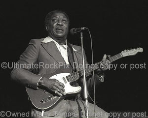 Black and White Photo of Muddy Waters Playing His Fender Telecaster in Concert in 1979 by Marty Temme