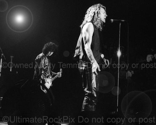 Photos of Robert Plant and Jimmy Page in Concert in 1995 by Marty Temme