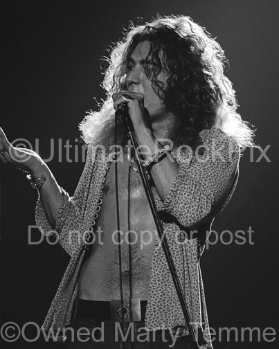 Black and white photo of Robert Plant of Led Zeppelin in concert in 1973 by Marty Temme
