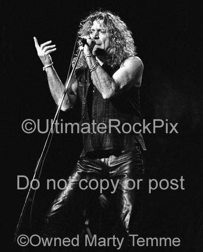 Photos of Robert Plant of Page and Plant in Concert in 1995 by Marty Temme