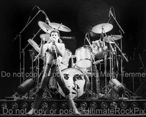 Black and white photo of Freddie Mercury of Queen onstage in 1980 by Marty Temme
