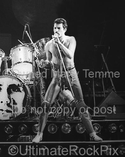 Photo of vocalist Freddie Mercury of Queen onstage in 1980 by Marty Temme