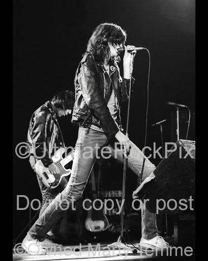 Photos of Joey Ramone of The Ramones in Concert in 1979 by Marty Temme