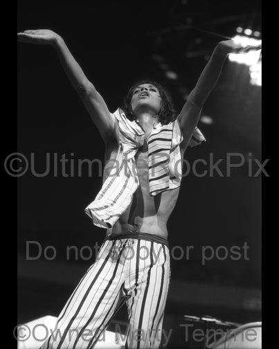 Photo of Mick Jagger of The Rolling Stones in concert in 1975 by Marty Temme