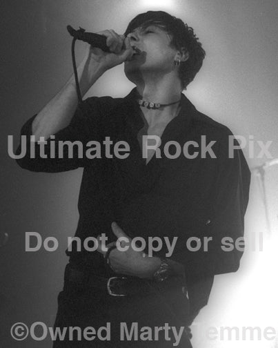 Photo of singer Brett Anderson of Suede in concert in 1995