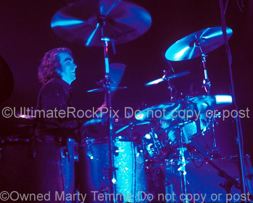 Photos of Drummer Michael Lee of Thin Lizzy and Page and Plant by Marty Temme