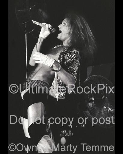 Photos of vocalist David Lee Roth of Van Halen Performing Onstage in 1978 by Marty Temme
